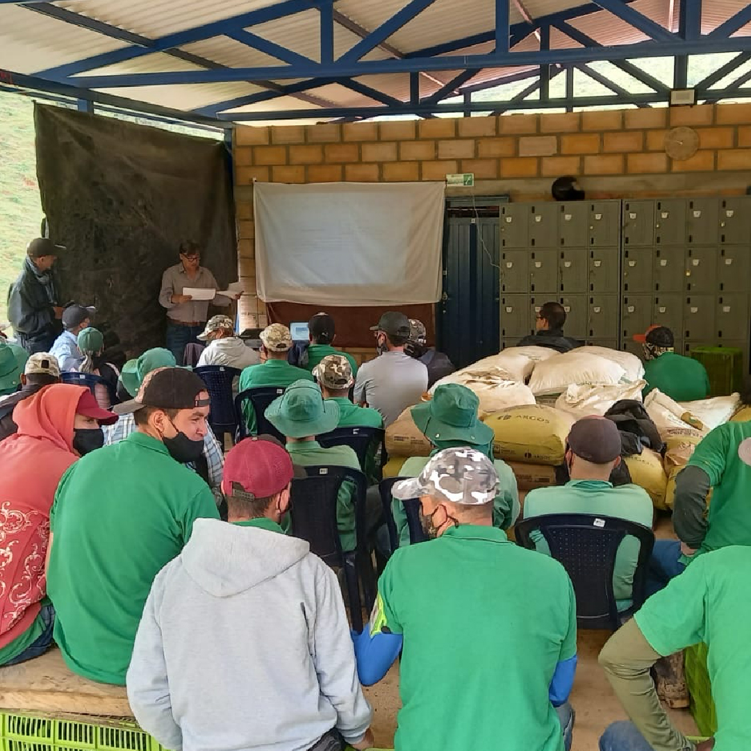 Programas sociales y de capacitación para agricultores | Global Green Gourmet